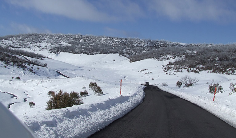 Snow blankets the hills on the road into Selwyn Snow Resort, Kosciuszko National Park. Photo: Murray Vanderveer/DPIE