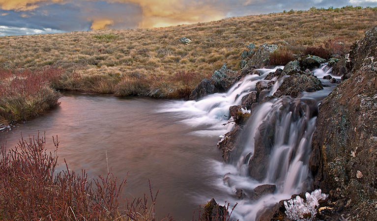 A cascading waterfall along Three Mile Creek in the Selwyn area of central Kosciuszko National Park. Photo: Murray Vanderveer/DPIE