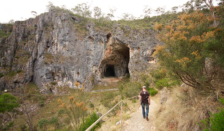 Glory Arch, Yarrangobilly Caves, Kosciuszko National Park. Photo: Elinor Sheargold