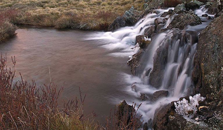 Three Mile Creek, near Kiandra, Kosciuszko National Park. Photo: Stuart Cohen/DPIE