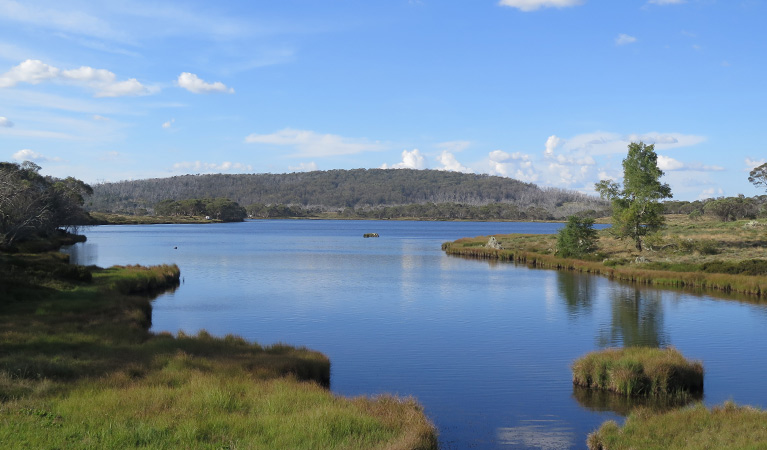 Three Mile Dam campground, Kosciuszko National Park. Photo: Elinor Sheargold/DPIE