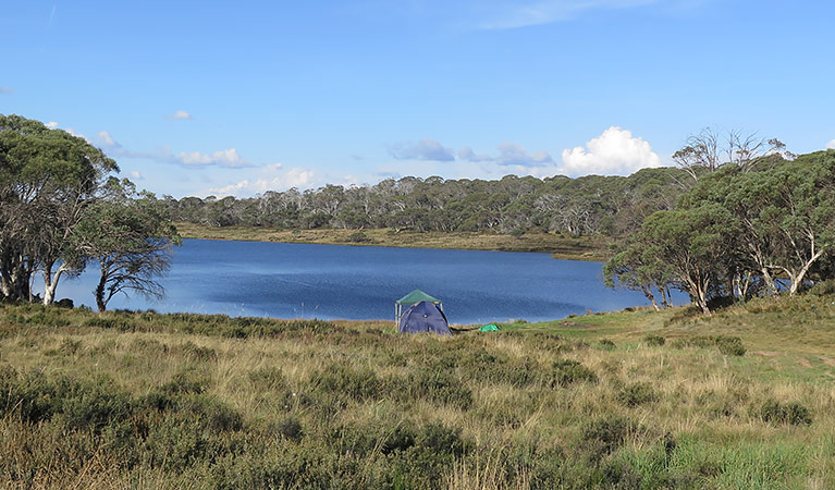 Three Mile Dam campground, Kosciuszko National Park. Photo: Elinor Sheargold/DPIE