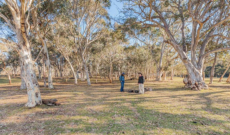 Wares Yards campground, Kosciuszko National Park. Photo: Murray Vanderveer/NSW Government