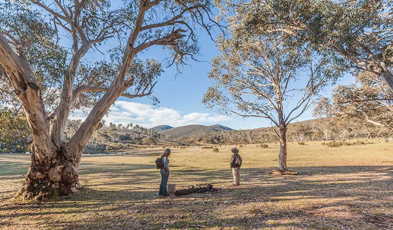 Wares Yards campground, Kosciuszko National Park. Photo: Murray Vanderveer/NSW Government