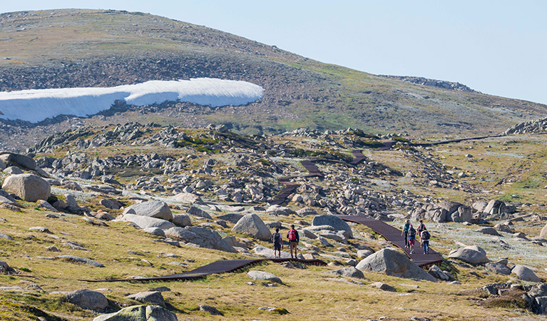 An Australian Walking Tours group on a Snowies Alpine Walk multi day tour in Kosciuszko National Park. Credit: Tourism Snowy Mountains 