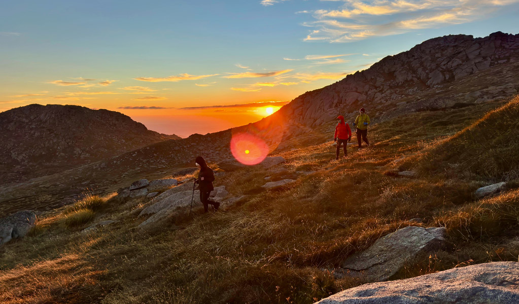 A group of hikers on a guided multi-day tour of Snowies Alpine Walk in Kosciuszko National Park. Credit: The Adventure Gene
