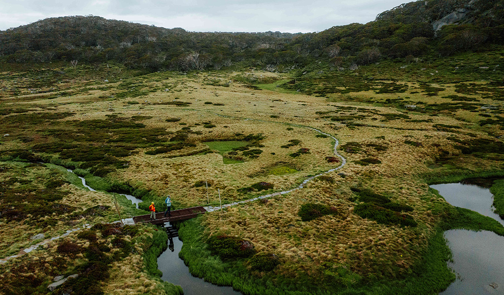 An aerial view of 2 hikers crossing a winding creek surrounded by marsh on Snowies Alpine Walk, Kosciuszko National Park.. Credit: Daniel Parsons / DCCEEW © Caravel Content