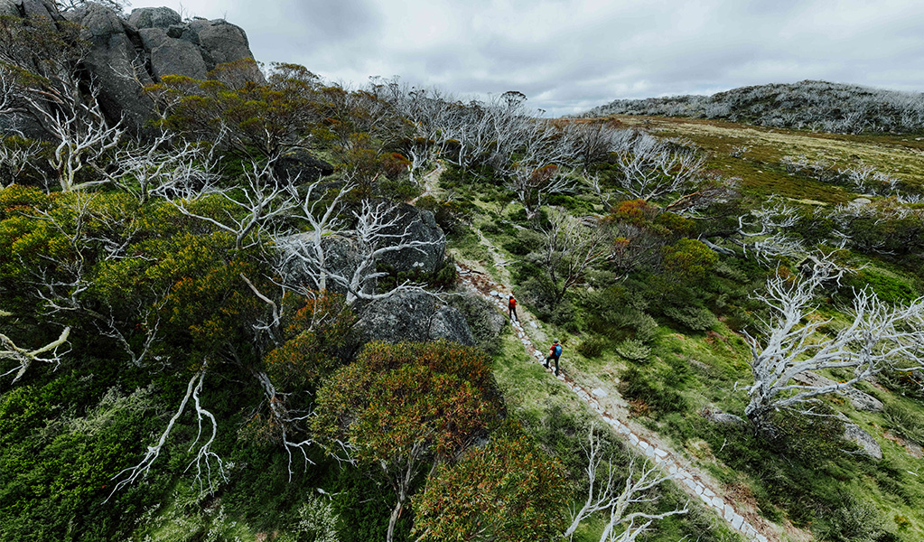 2 hikers walking to Bullocks Flat from Perisher Valley on Snowies Alpine Walk. Credit: Daniel Parsons / DCCEEW © Caravel Content