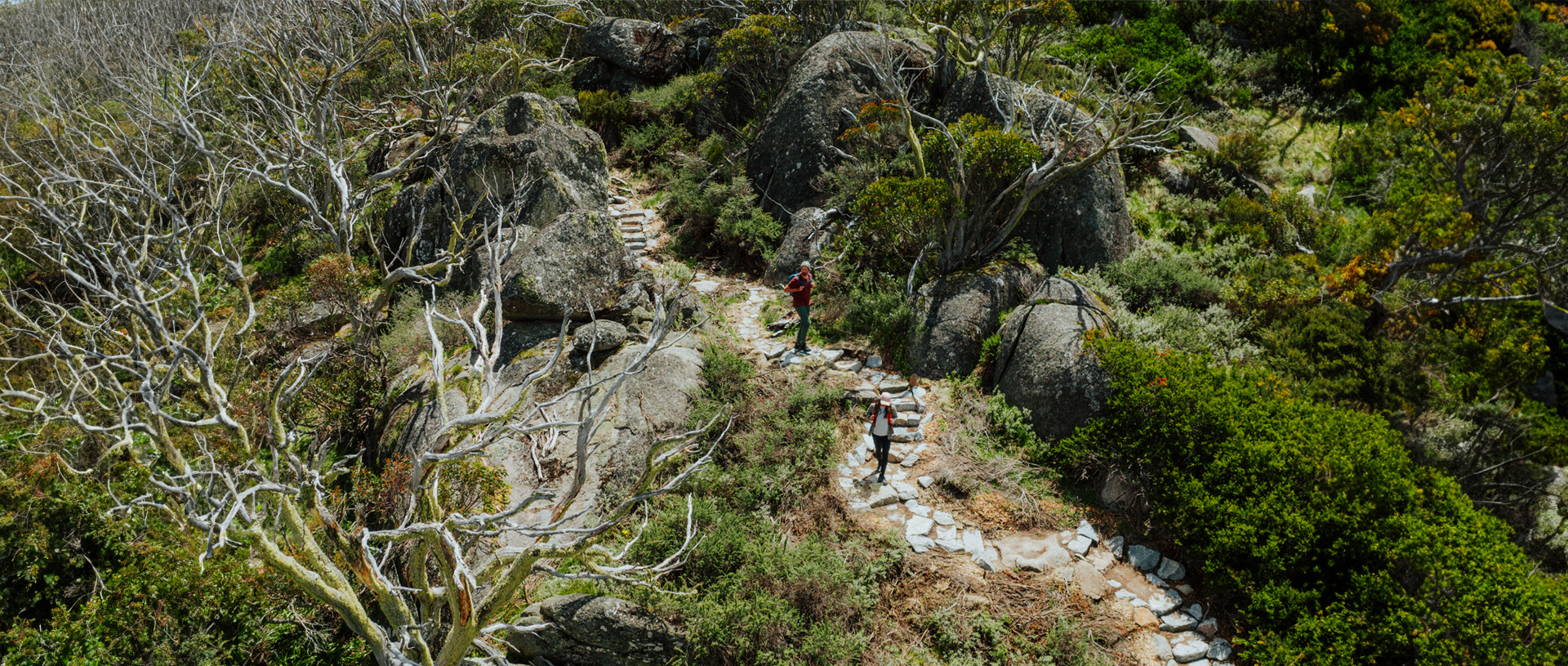 2 hikers on a winding trail of stepping stones along Snowies Alpine Walk surrounded by sub-alpine plants in Kosciuszko National Park. Credit: Daniel Parsons / DCCEEW © Caravel Content