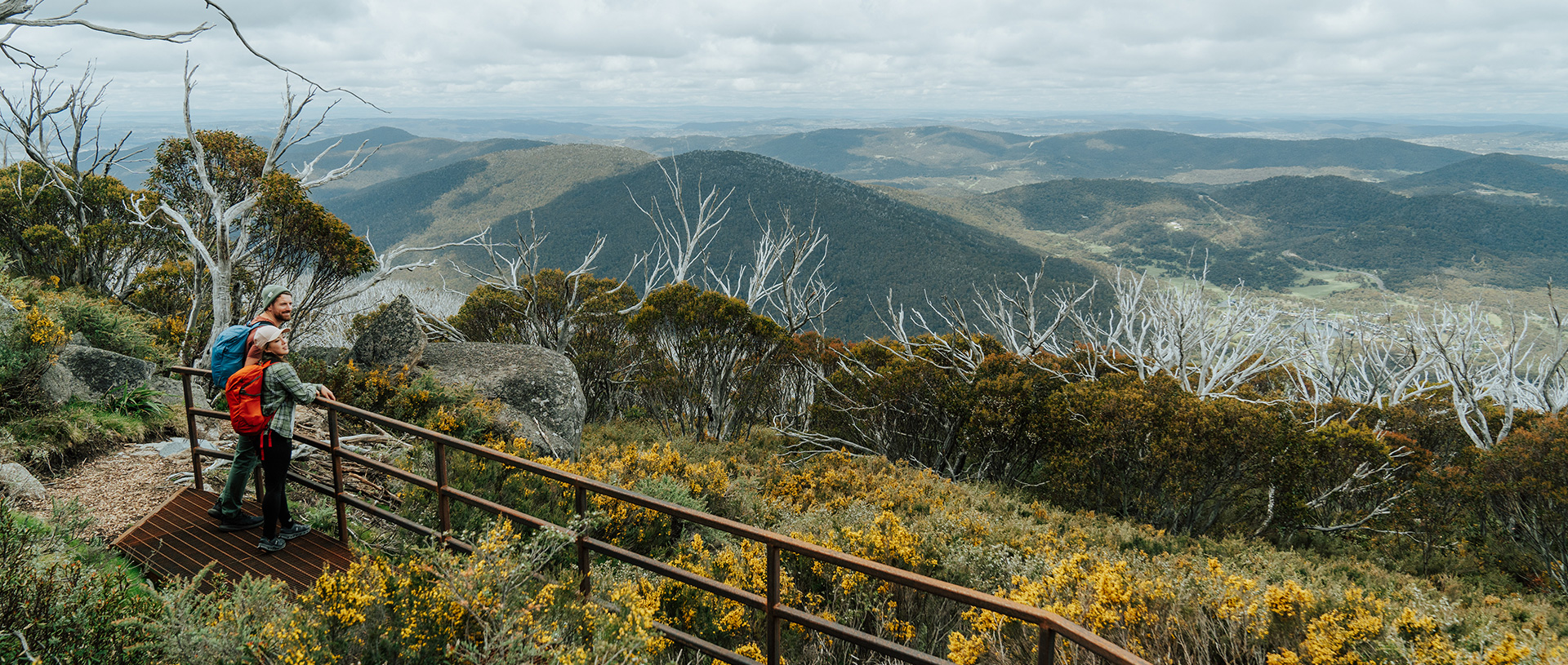 2 hikers looking out an explansive view of the Snowy Mountains surrounded by wildflowers on day 4 of Snowies Alpine Walk. Credit: Remy Brand / DCCEEW © Caravel Content