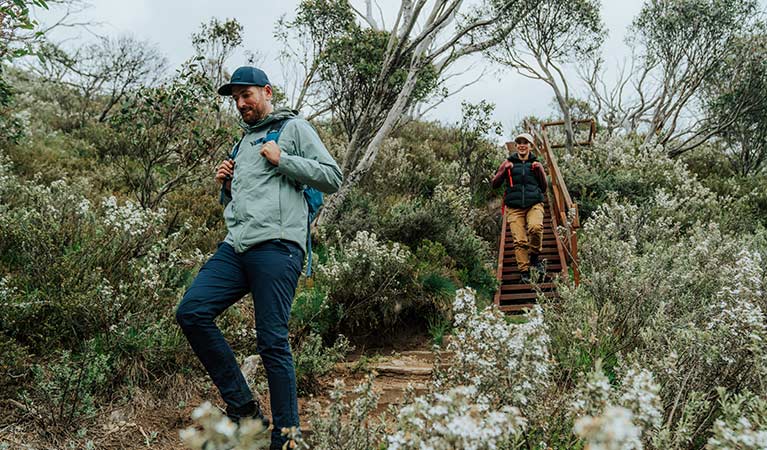 2 hikers surrounded by wildflowers walking from Guthega to Charlotte Pass on Snowies Alpine Walk. Credit: Remy Brand  / DCCEEW © Caravel Content