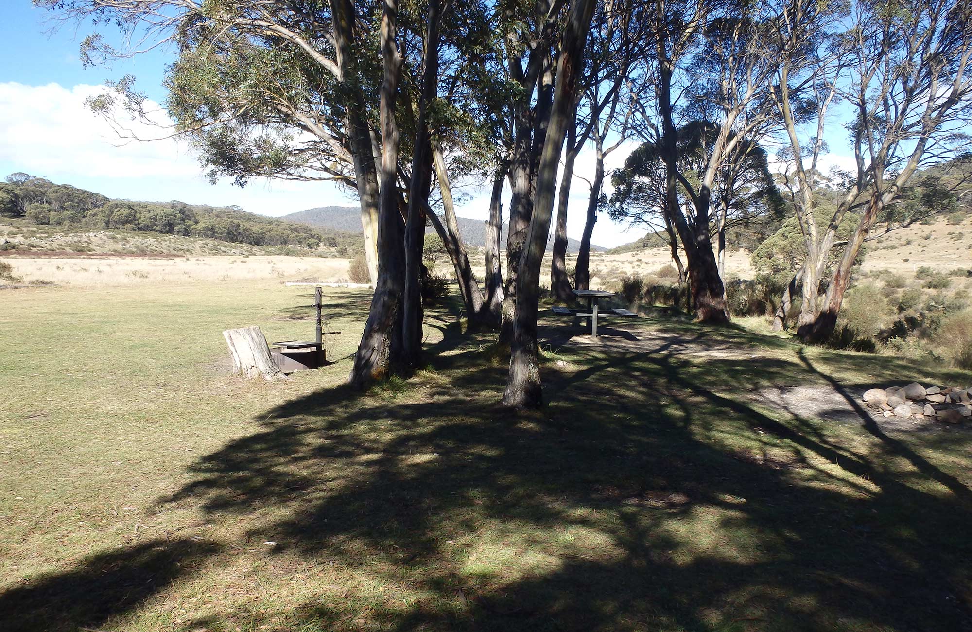 Picnic table and fire ring under trees at Gungarlin River campground, Kosciuszko National Park. Photo: Andrew Miller/OEH