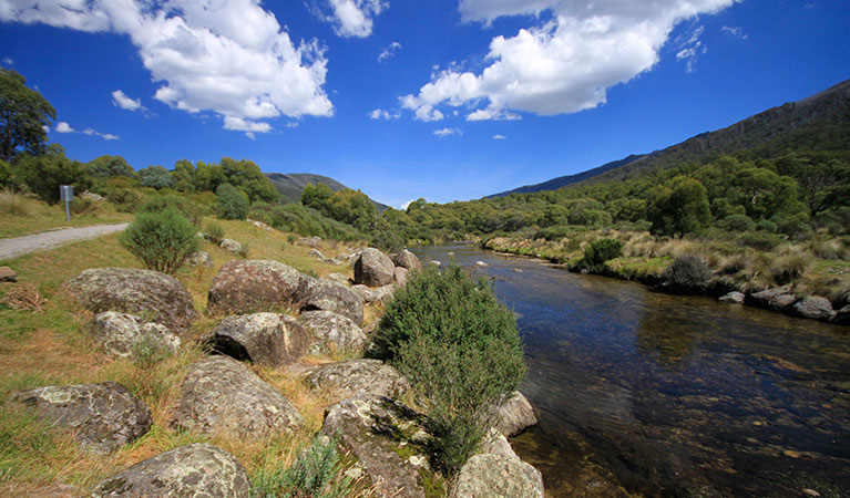 A paved section of Bullocks track beside the Thredbo River, near Bullocks Flat, Kosciuszko National Park. Photo: Elinor Sheargold &copy; OEH