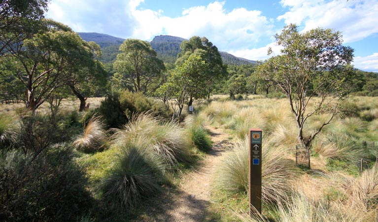 Signpost at track head of Bullocks track, Kosciuszko National Park. Photo: Elinor Sheargold &copy; OEH