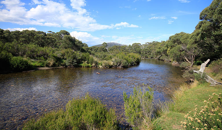 View of the Thredbo River from Bullocks track, near Thredbo Diggings campground, Kosciuszko National Park. Photo: Elinor Sheargold &copy; OEH