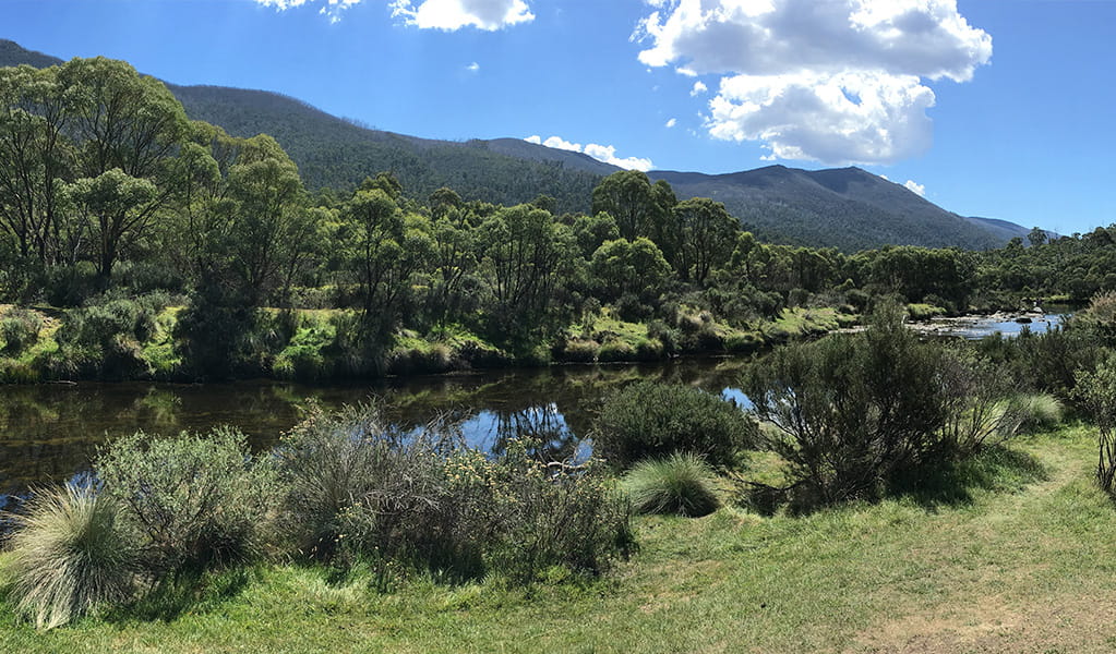 View of Thredbo River from Bullocks Hut. Photo: Stephen Townsend &copy; DPE