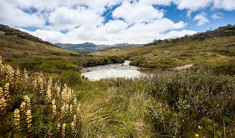 Cascades trail, Kosciuszko National Park. Photo: Murray van der Veer