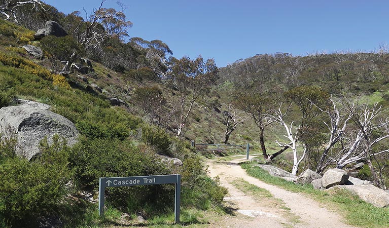 Sign at start of Cascade trail, off Alpine Way near Thredbo, Kosciuszko National Park. Photo: Elinor Sheargold/DPE