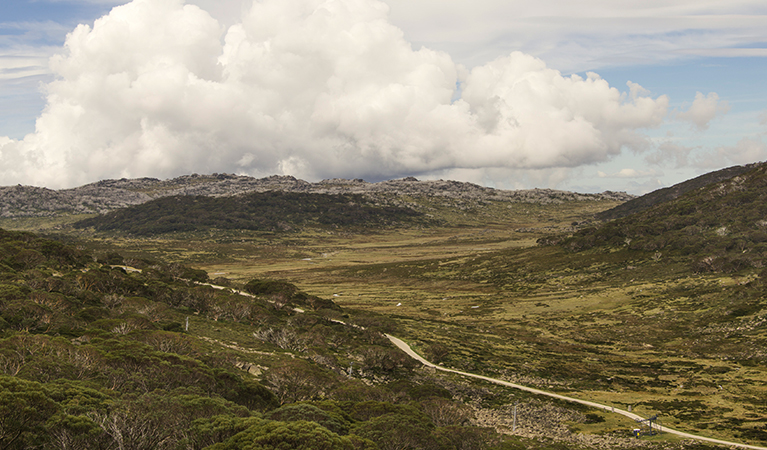 Wide view of open, rugged mountain landscape traversed by a dirt track, under partly cloudy skies. Photo: John Spencer/DPIE.