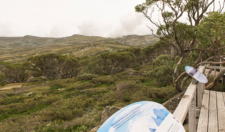 Edge of lookout viewing platform with information panels, set in a landscape of bushland and alpine meadows. Photo: John Spencer/DPIE.