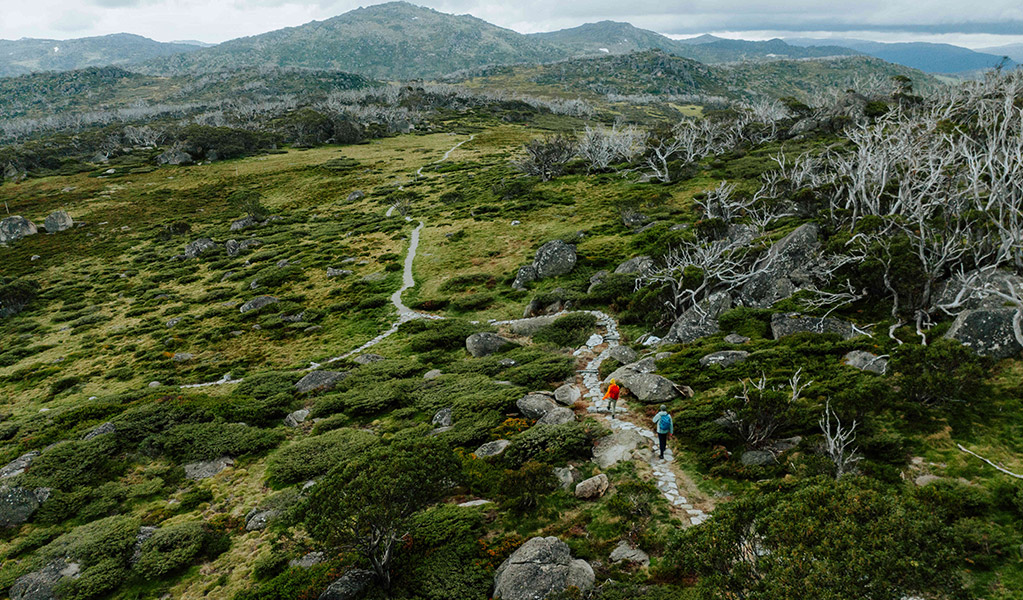 An aerial view of bushwalkers along a winding path as part of Charlotte Pass Village to Perisher Valley walk. Credit: Daniel Parsons / DCCEEW © Caravel Content