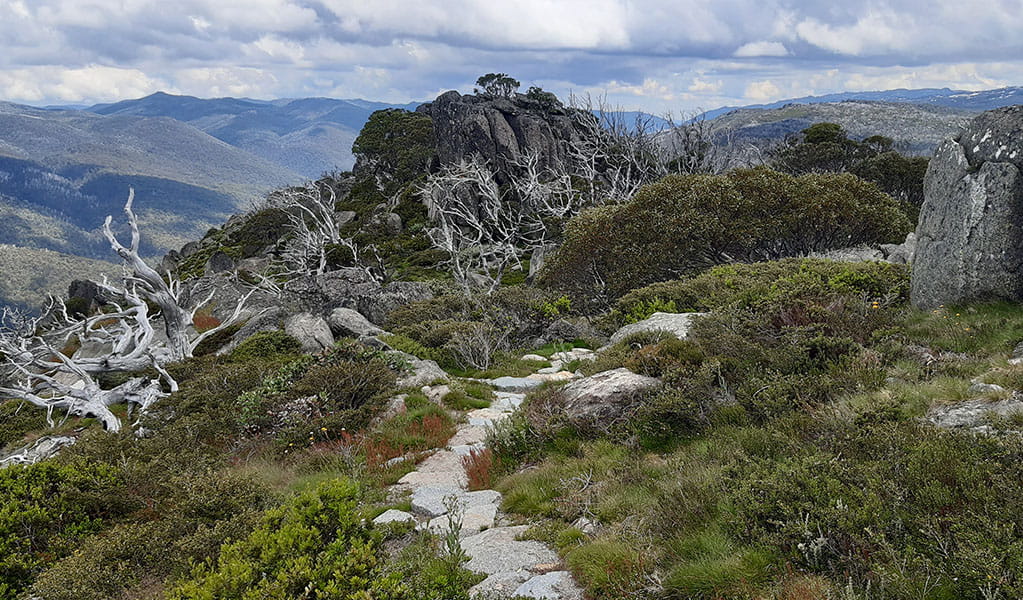 A section of stone track from Charlotte Pass Village to Perisher Valley walk, winding through the the alpine landscape of Kosciuszko National Park. Photo: Alek Cahill &copy; DPE