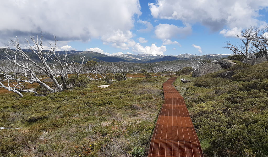 A section of raised metal track from Charlotte Pass Village to Perisher Valley walk, crossing high country in Kosciuszko National Park. Photo: Alek Cahill &copy; DPE
