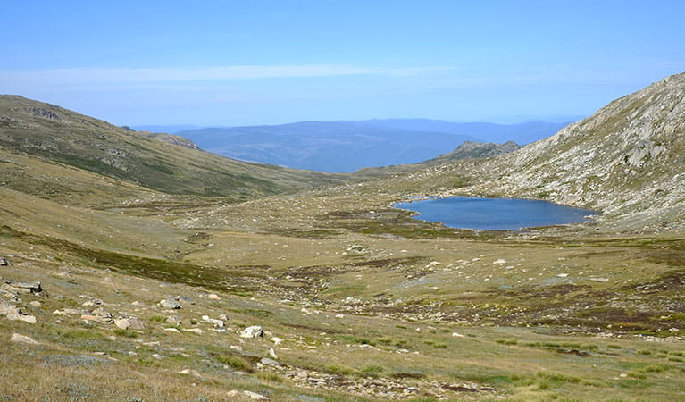 View of Lake Cootapatamba, from Kosciuszko walk - Thredbo to Mount Kosciuszko. Photo: Elinor Sheargold &copy; DPIE