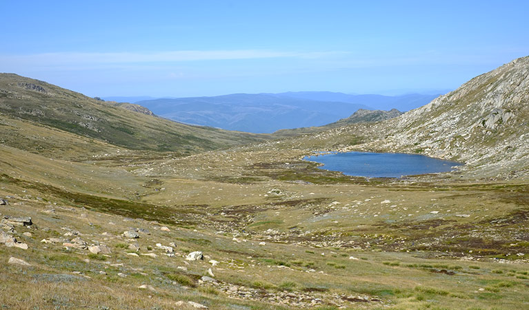 View of Lake Cootapatamba, from Kosciuszko walk - Thredbo to Mount Kosciuszko. Photo: Elinor Sheargold &copy; DPIE