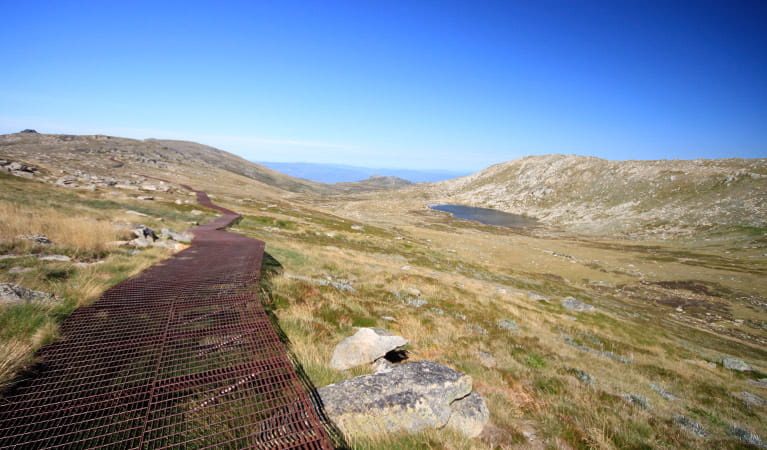 The metal mesh path of Kosciuszko walk - Thredbo to Mount Kosciuszko passes Lake Cootapatamba, Kosciuszko National Park. Photo: Elinor Sheargold &copy; DPIE