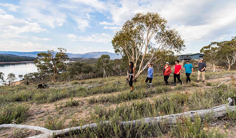 Six friends enjoy a walk near Creel Lodge, Kosciuszko National Park. Photo: Boen Ferguson/OEH.