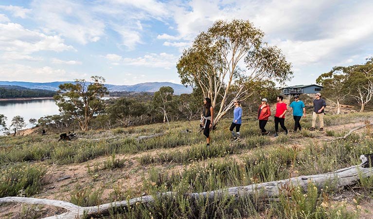 Six friends enjoy a walk near Creel Lodge, Kosciuszko National Park. Photo: Boen Ferguson/OEH.