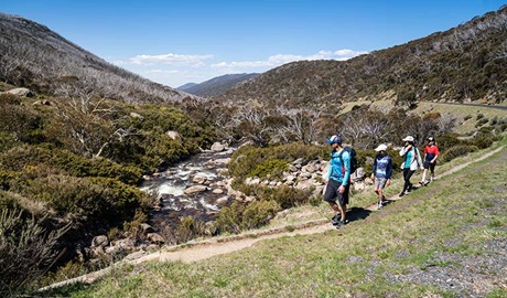 4 people walking along Dead Horse Gap walking track in Kosciuszko National Park. Photo &copy; Robert Mulally