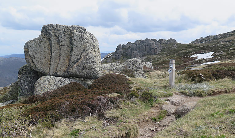 A dirt path passes a signpost and rocks atop Dead Horse Gap walking track, Kosciuszko National Park. Photo: Elinor Sheargold &copy; OEH