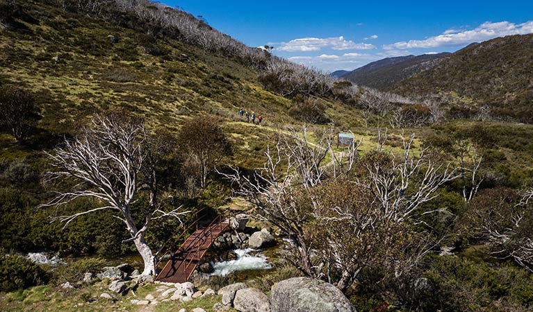 A bridge over Thredbo River along Dead Horse Gap walking track in Kosciuszko National Park. Photo &copy; Robert Mulally