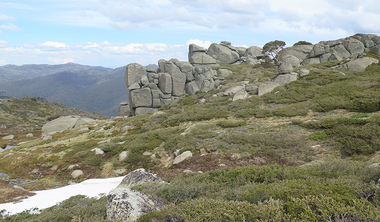 A granite rock formation along Dead Horse Gap walking track, Kosciuszko National Park. Photo: Elinor Sheargold &copy; OEH