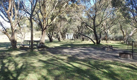 Picnic tables and fire rings among black sallee trees, Gungarlin River campground, Kosciuszko National Park. Photo: Andrew Miller/OEH