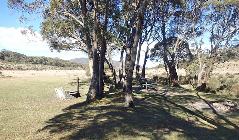 Picnic table and fire ring under trees at Gungarlin River campground, Kosciuszko National Park. Photo: Andrew Miller/OEH