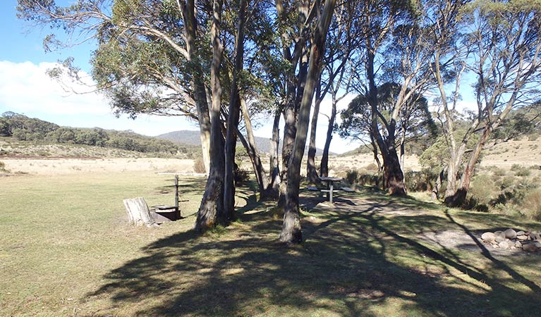 Picnic table and fire ring under trees at Gungarlin River campground, Kosciuszko National Park. Photo: Andrew Miller/OEH