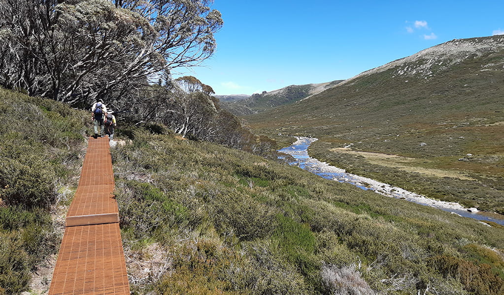 A path winds through river valley, part of Guthega to Charlotte Pass walk in Kosciuszko National Park. Photo credit: Aleksandr Cahill &copy; DPIE