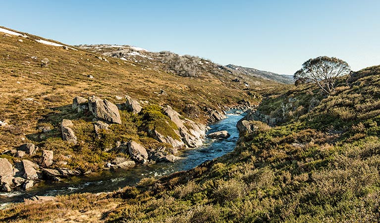 Illawong walk, Kosciuszko National Park. Photo: Murray Vanderveer &copy; OEH