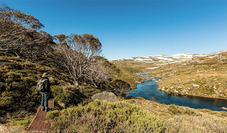 Illawong track, Kosciuszko National Park. Photo: Murray Vanderveer &copy; OEH