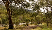 Island Bend campground, Mount Kosciuszko National Park. Photo: John Spencer/DPIE