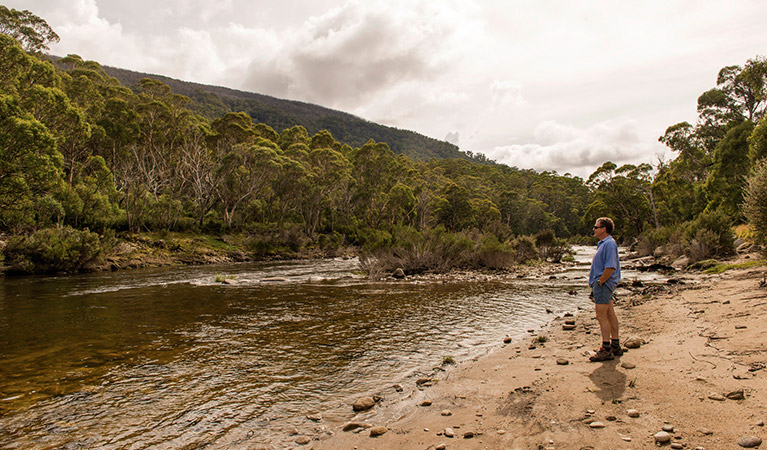 Island Bend campground, Kosciuszko National Park. Photo: John Spencer/OEH