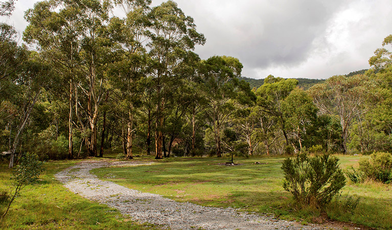 Island Bend campground, Kosciuszko National Park. Photo: John Spencer/DPIE