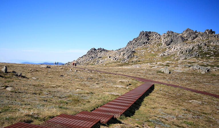 A raised metal mesh path leads off Thredbo's Kosciuszko walk to Kosciuszko lookout. Photo: Elinor Sheargold &copy; DPIE