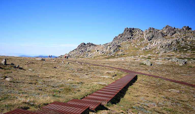 A raised metal mesh path leads off Thredbo's Kosciuszko walk to Kosciuszko lookout. Photo: Elinor Sheargold &copy; DPIE