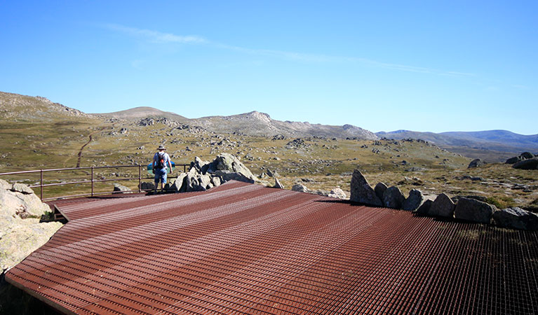 A man enjoys alpine views at Kosciuszko lookout along Thredbo's Kosciuszko walk. Photo: Elinor Sheargold &copy; DPIE