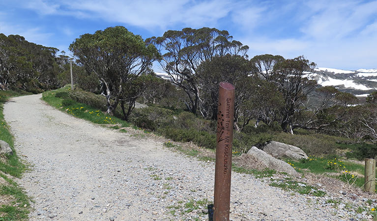 Start of the Mount Kosciuszko trail, Kosciuszko National Park. Photo: Elinor Sheargold &copy; OEH 