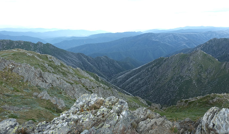 View of Mt Sentinel, Main Range walk, Kosciuszko National Park. Photo: E Sheargold